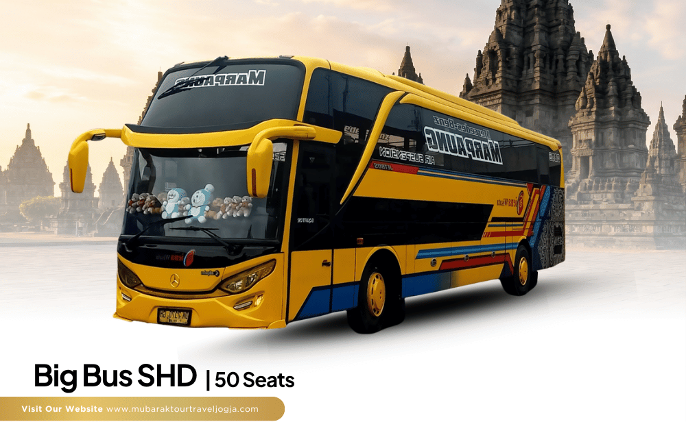 Big Bus SHD 50 Seats